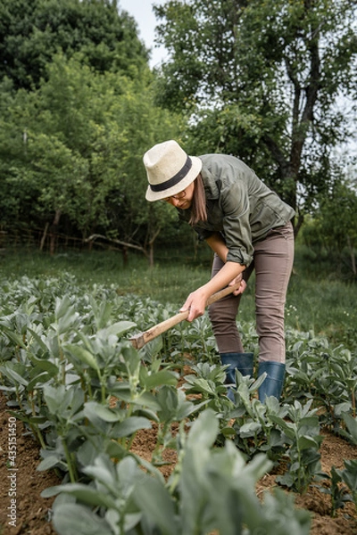 Fototapeta Front view of young caucasian woman female farmer working in the agriculture filed holding hoe to remove weeds and shaping soil and hilling - real people horticulture and self sufficiency concept