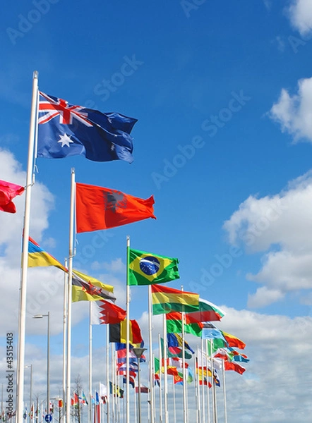 Obraz International flags on  waterfront of Rotterdam. Netherlands.
