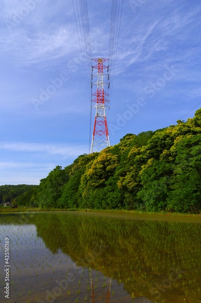 Obraz 森の中にそびえ立つ赤と白の高圧鉄柱