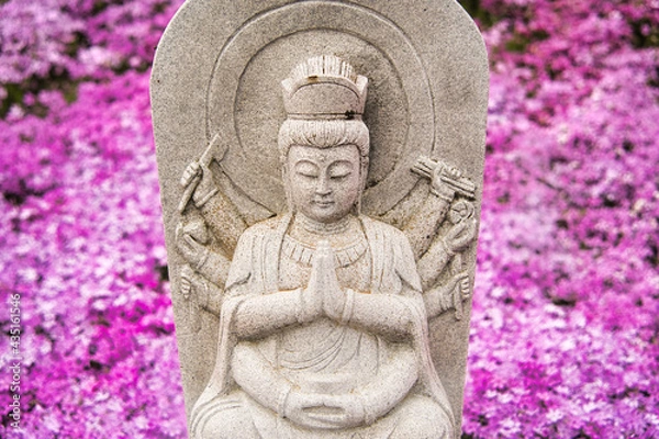 Obraz 鮮やかな芝桜