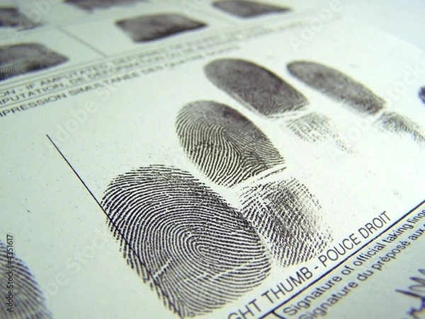 Obraz Fingerprint