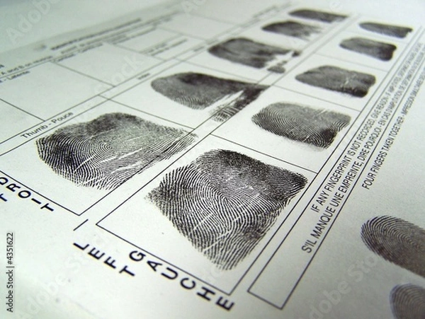 Obraz Fingerprint