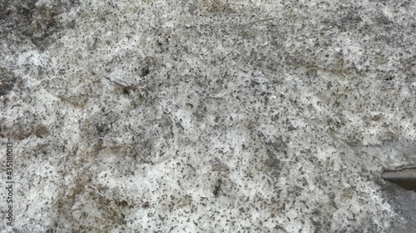 Obraz Uneven porous black and white structure. Foamed plastic consisting of cells of various shapes and volumes creates an uneven texture of the material in a square white-blue matrix.