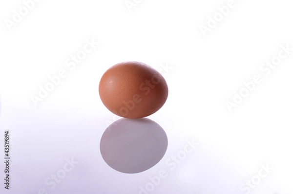 Obraz egg