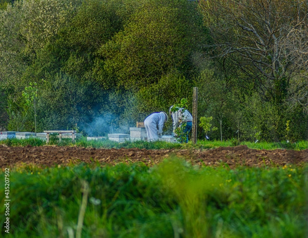 Obraz Beekeepers