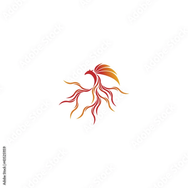 Fototapeta Phoenix flying fire bird vector abstract logo icon design template 