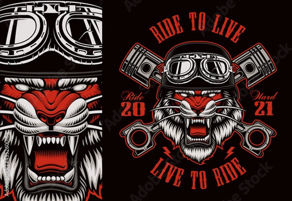 Fototapeta Colorful biker patch with a tiger biker, this design can be used as well as a t-shirt print.