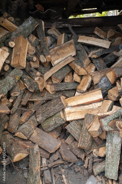 Fototapeta A pile of firewood. Lots of wood logs. The logs are stacked in a wood shed. Protection of ecology.