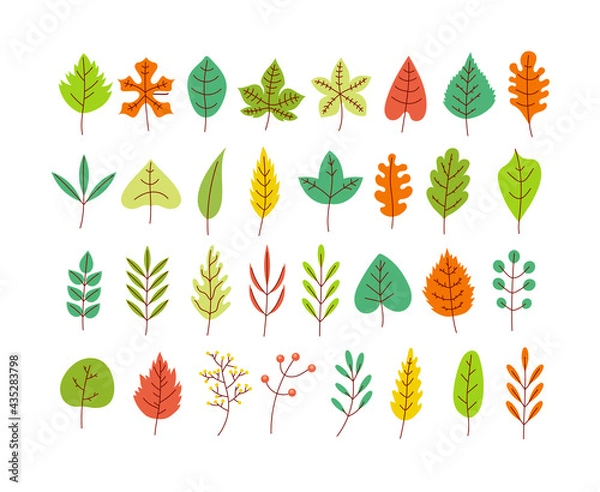 Obraz Set of different type and color season leaves isolated on white background collection design element