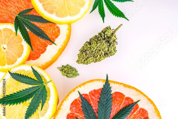 Fototapeta Cannabis terpenes concept with Marijuana flower bud lemons grapefruit and leafs