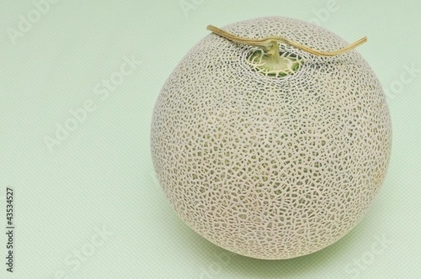 Obraz 富良野メロン