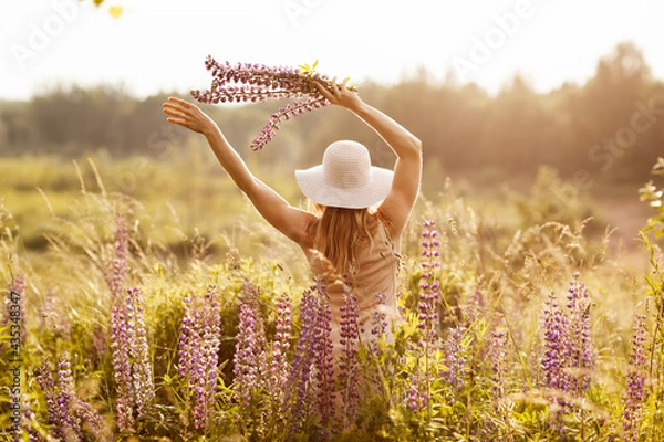 Fototapeta A young girl in a light dress and a hat with a bouquet in her hands on a lupine field, looking at the sunset. Rear view, space for text