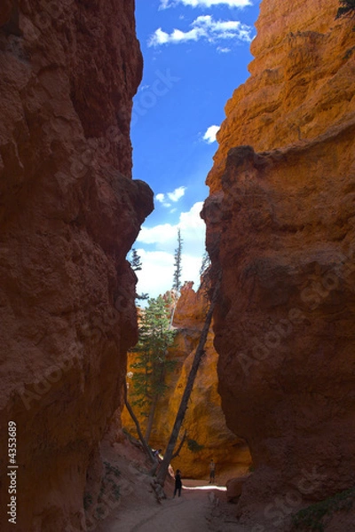 Obraz Red rock of Bryce