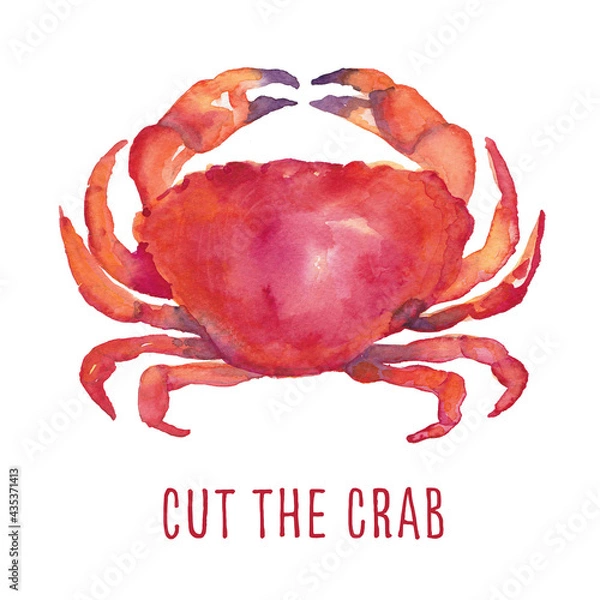 Fototapeta Cut the crab! Whimsical funny watercolor painting with crab and text, on white background