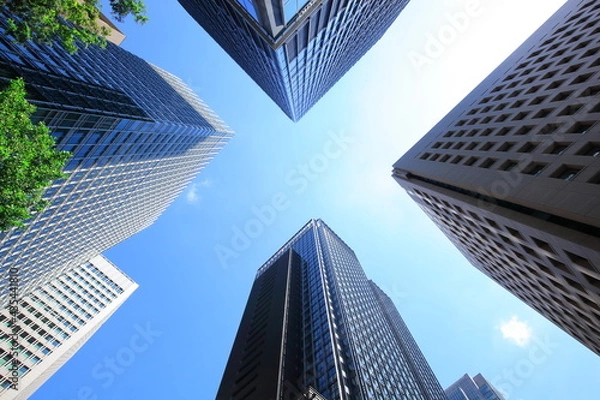 Fototapeta ビル群