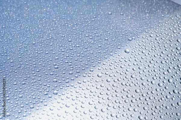 Fototapeta 車上の水滴