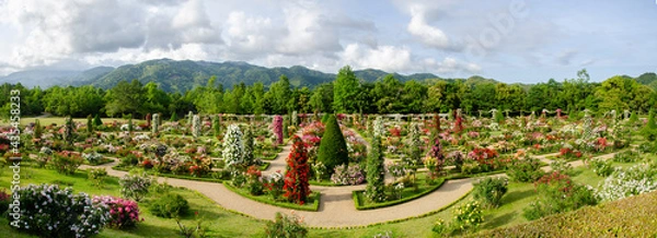Fototapeta 静岡県賀茂郡河津町の河津バガテル公園です。フランス式庭園の特徴である左右対称の幾何学模様が一望できます。