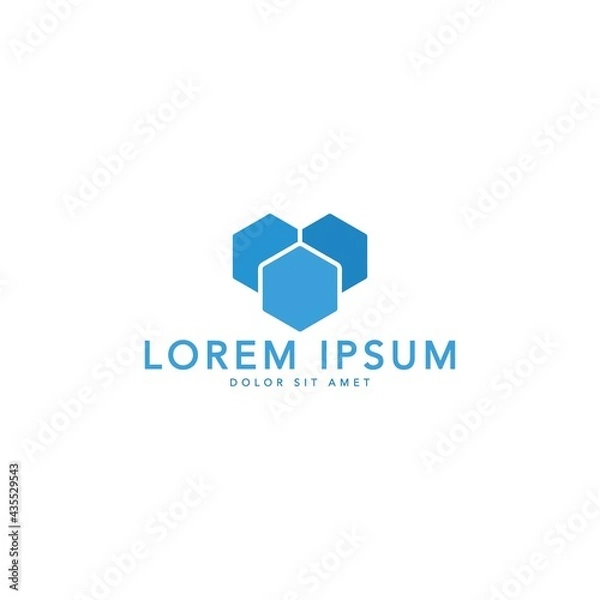 Fototapeta minimalist and simple hexagon logo vector

