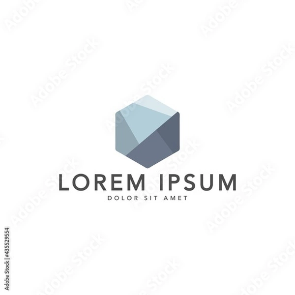Fototapeta minimalist and simple hexagon logo vector

