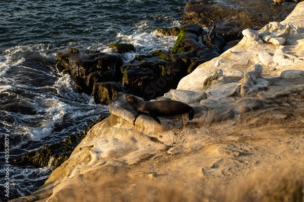 Fototapeta rocks on the beach