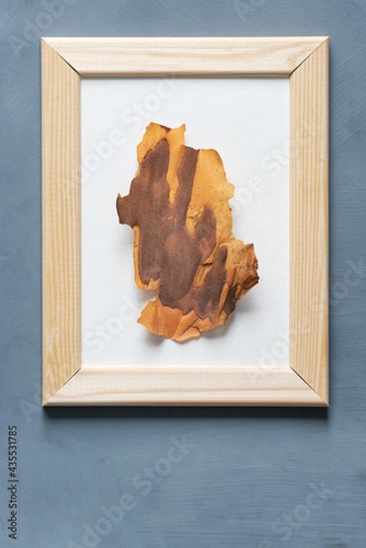 Obraz Stationery mock-up scene. Blank white greeting card in wooden frame and piece of pine bark on textured gray background.