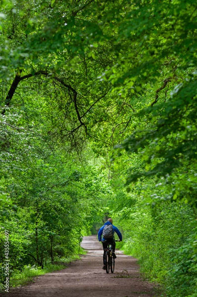 Fototapeta rowerzysta