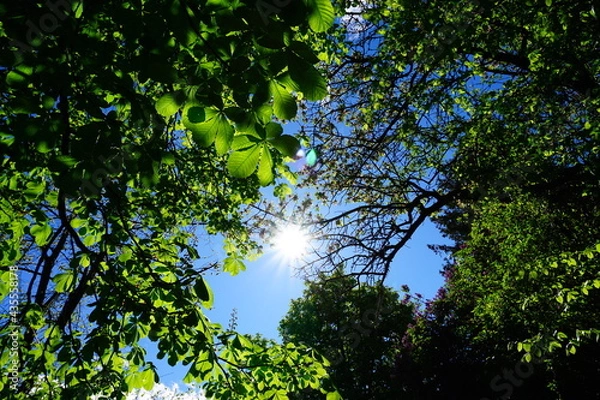 Obraz Sonnenstrahlen 