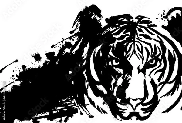 Fototapeta 2022年　年賀状デザイン　虎　リアル　墨　寅年