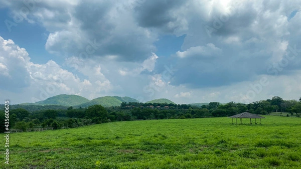 Obraz field and blue sky