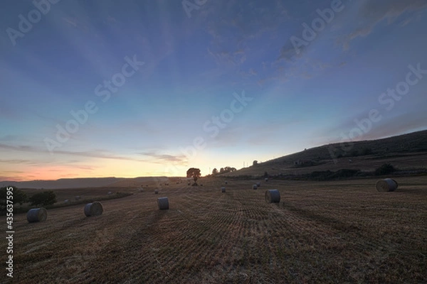 Obraz Sunset over the cut grass field