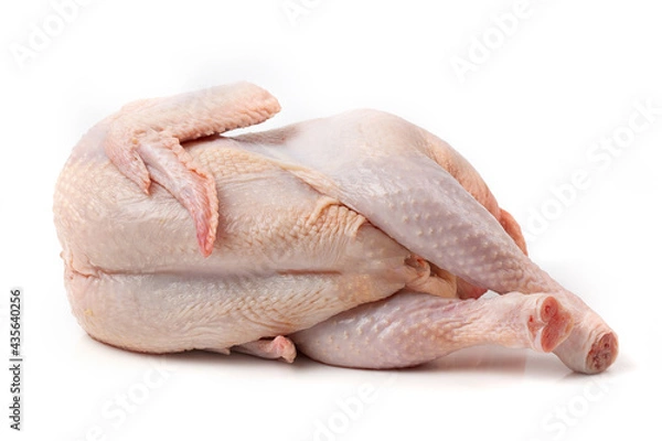 Obraz Raw chicken carcass isolated on a white background. Close-up