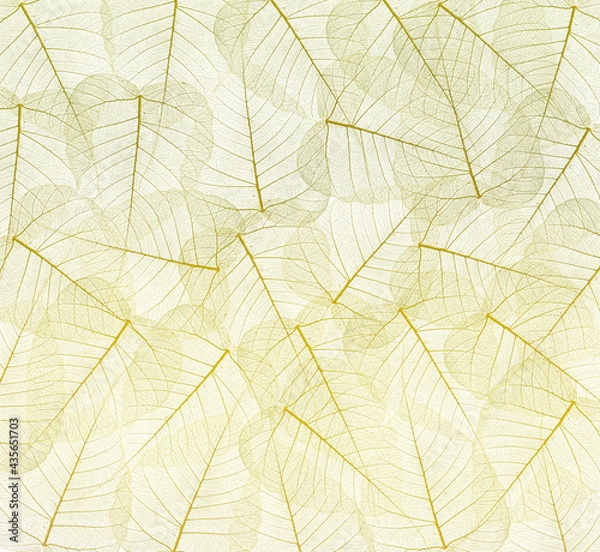 Obraz a leaf texture close up on a white background