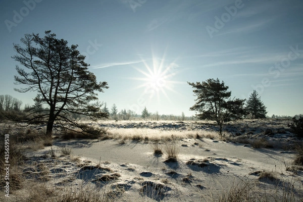 Obraz Landschaft im Winter