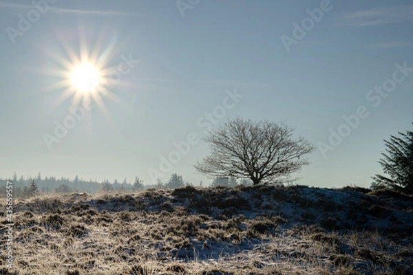 Obraz Landschaft im Winter