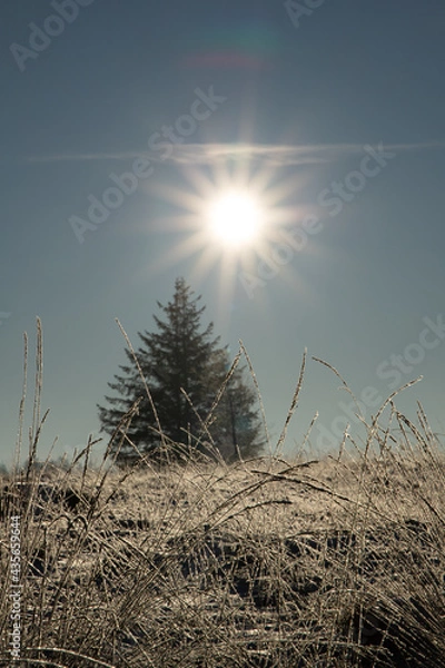 Obraz Landschaft im Winter