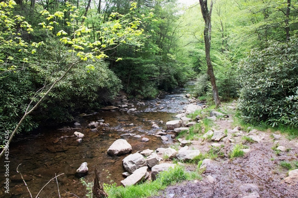 Obraz Hawk Falls Hiking Trail Poconos PA