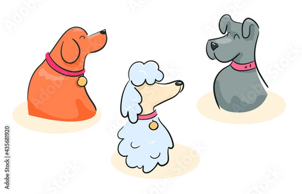 Fototapeta Conceptual illustration of domestic dog set with collars. Sketch of several breeds of dogs labrador, terrier, poodle. Colored characters friends of people on white background vector
