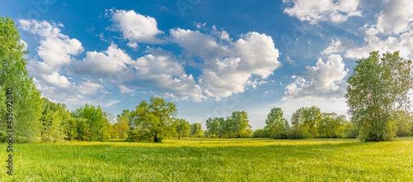Obraz Idylliczny krajobraz górski ze świeżymi zielonymi łąkami i kwitnącymi kwiatami. Idylliczny widok na wsi, wiejski naturalny widok na zewnątrz. Idylliczny baner natury, panoramiczna wiosenna letnia sceneria