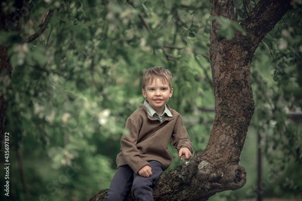 Fototapeta Portrait of a little cute изг sitting on the apple tree. Image with selective focus and toning
