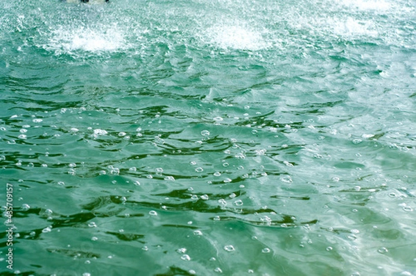 Fototapeta green water spatter and bubbles