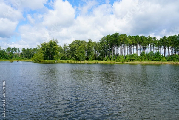 Obraz Lake view during summer near Starkville, MS
