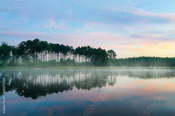 Obraz Foggy lake view with trees during sunset near Starkville, MS