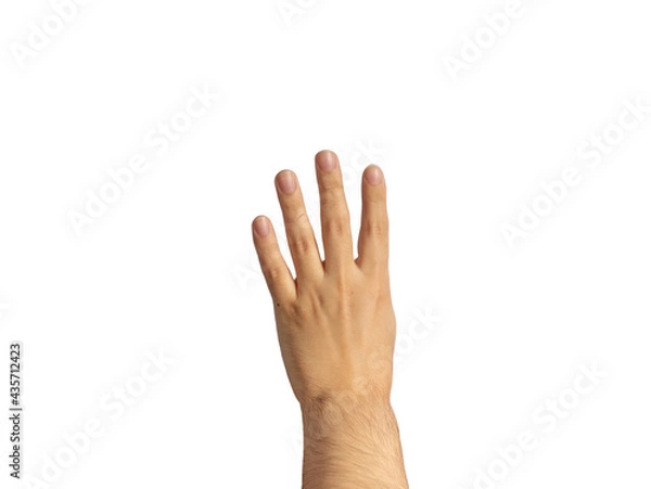 Obraz bak hand isolated on white background doing four