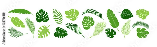 Obraz Summer palm leaf vector green plant, exotic nature set isolated on white background. Jungle illustration