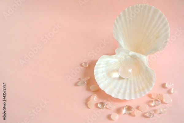 Fototapeta 貝殻と宝石
