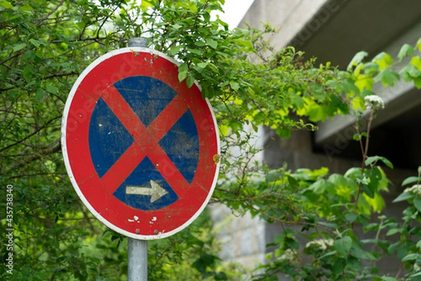 Obraz Strassenschild Halteverbot
