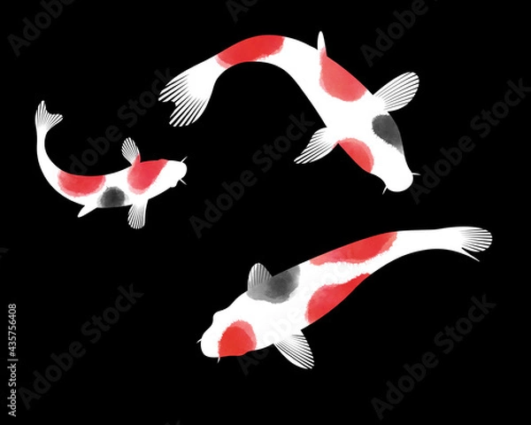 Obraz 錦鯉_紅＆墨