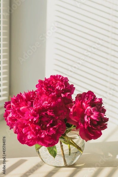 Obraz Red pink peonies laid out on a blue wooden background. Floral natural background template for greeting card. Copy space