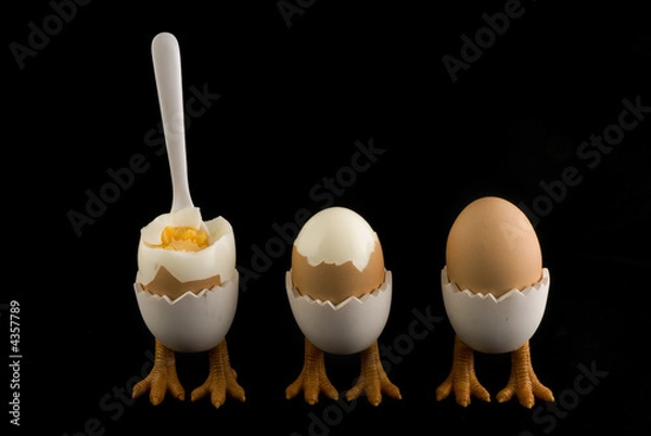 Obraz birdfeet with eggs