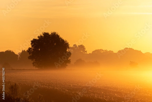 Obraz Die Kraft der Sonne